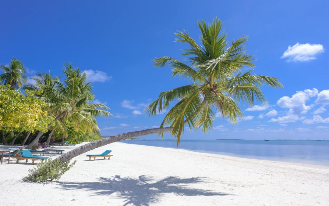 Do I Need a Visa for Mexico? 2025 Guide for US Citizens